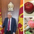 U.S. Officials Continue to Mix Apples and Poisonous Mushrooms: Victoria Nuland in Sri Lanka
