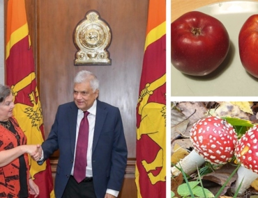 Victoria Nuland in Sri Lanka mixes apples and poisonous mushrooms concerning Chinese loans and Sri Lanka's debt crisis.