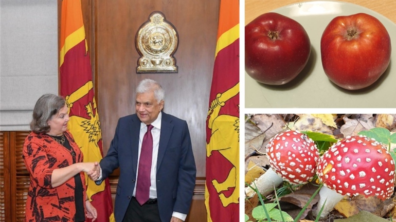 Victoria Nuland in Sri Lanka mixes apples and poisonous mushrooms concerning Chinese loans and Sri Lanka's debt crisis.